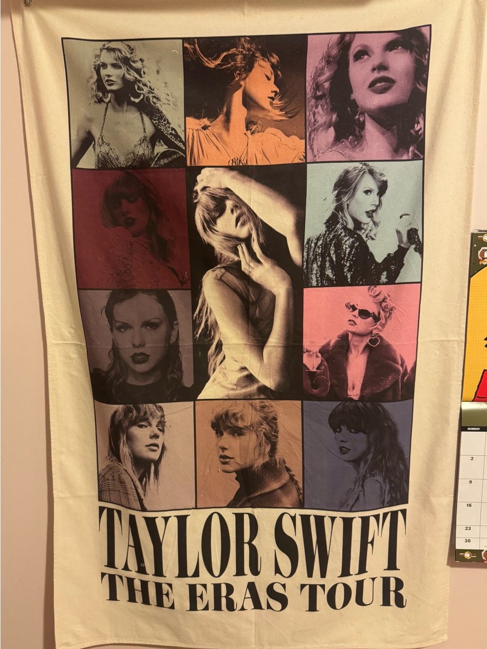 Taylor Swift: Eras Tour Tapestry